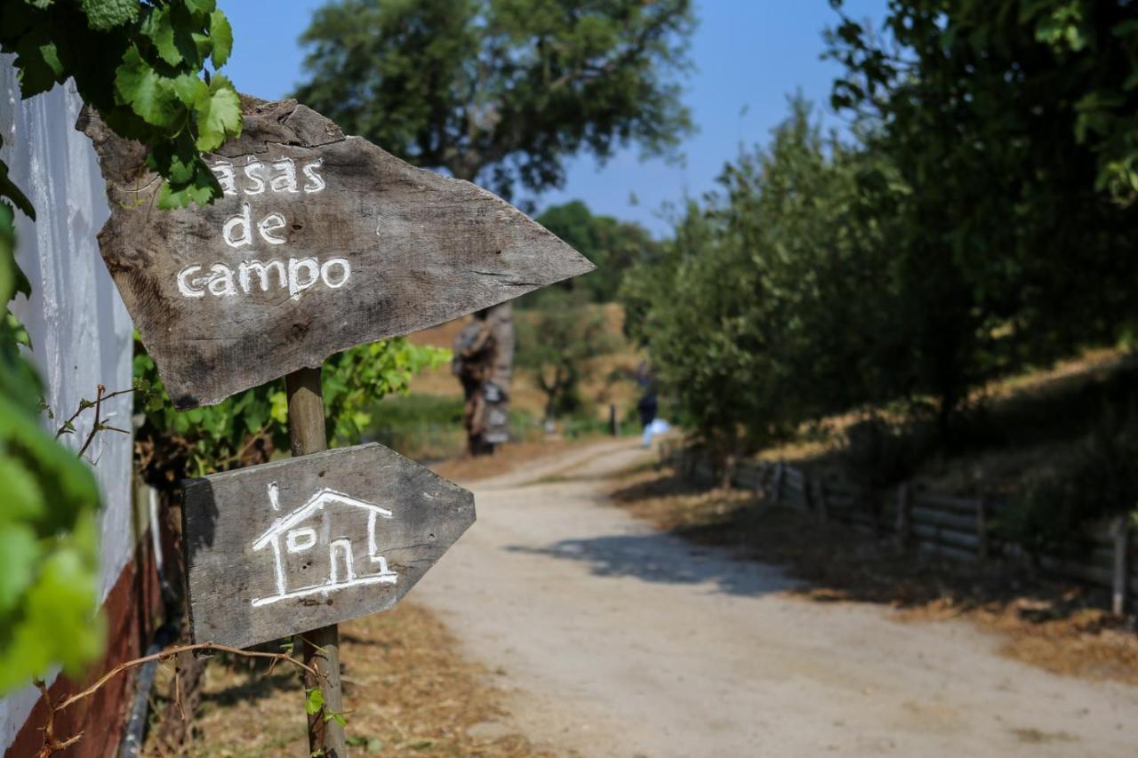Monte Do Areeiro Βίλα Coruche Εξωτερικό φωτογραφία