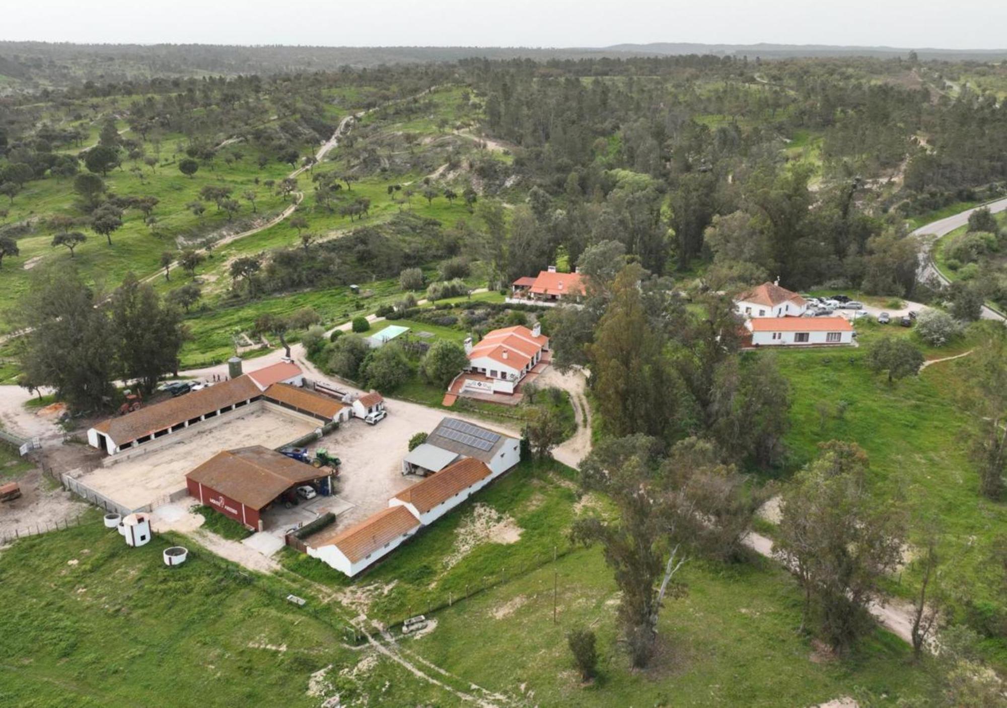 Monte Do Areeiro Βίλα Coruche Εξωτερικό φωτογραφία