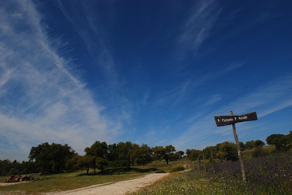 Monte Do Areeiro Βίλα Coruche Εξωτερικό φωτογραφία